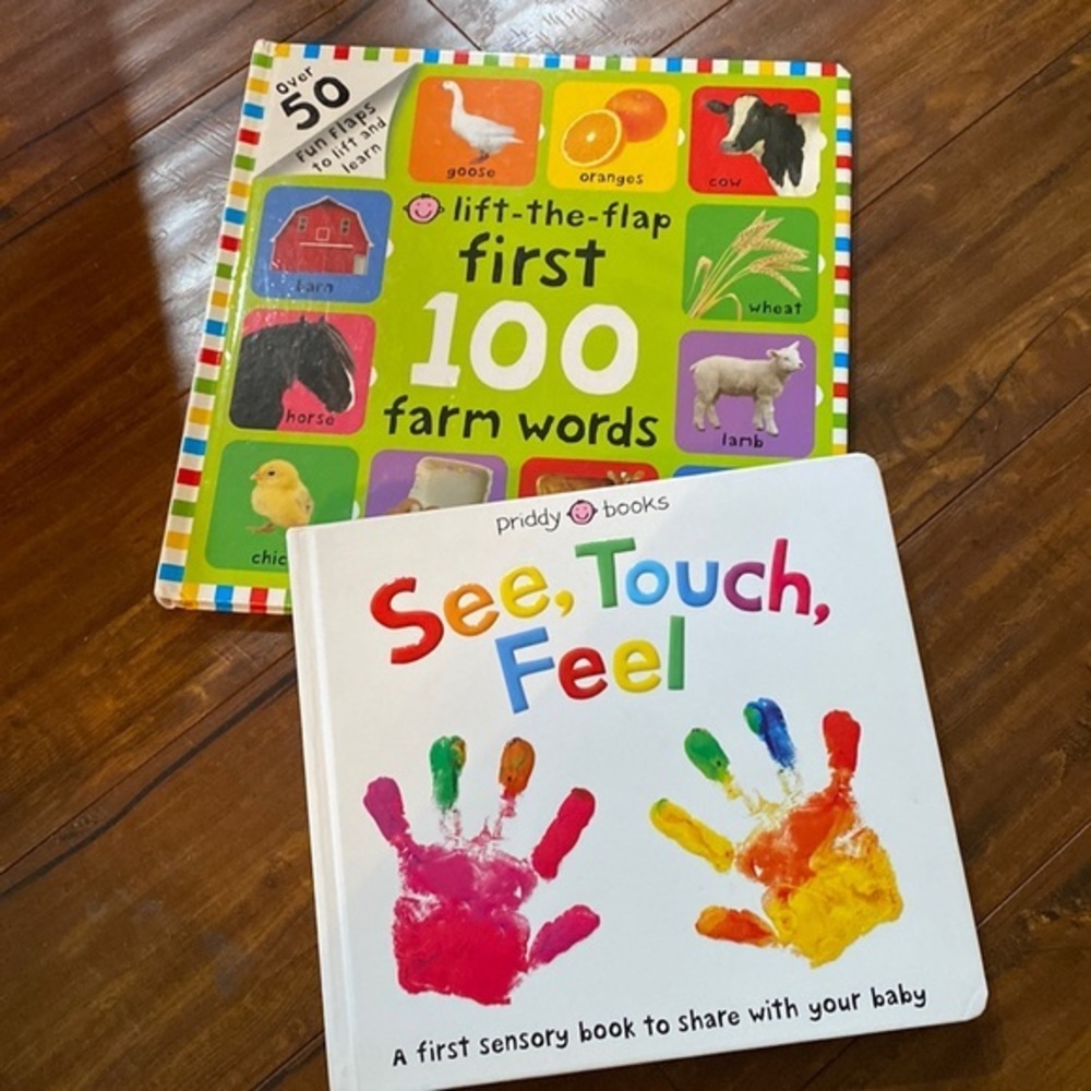 2 Baby educational First 100 words and Sensory‎ See, Touch Feel book
